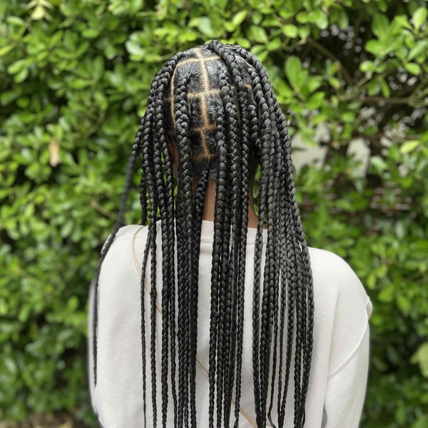 salon de coiffure afro tresse tresses box braids crochet braids vanilles tissages paris 75 77 78 91 92 93 94 95 TRACLNVC