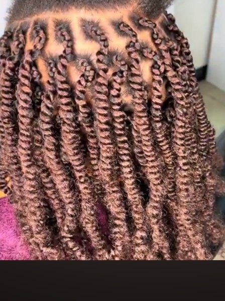 salon de coiffure afro tresse tresses box braids crochet braids vanilles tissages paris 75 77 78 91 92 93 94 95 TFVLKHJS