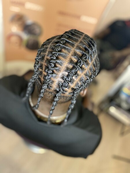 salon de coiffure afro tresse tresses box braids crochet braids vanilles tissages paris 75 77 78 91 92 93 94 95 HFNMUTBO