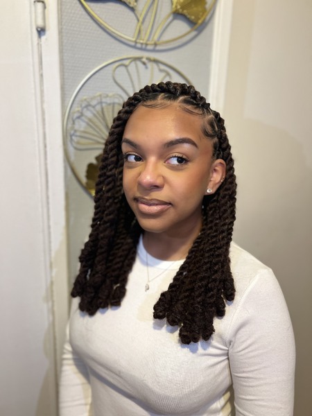 salon de coiffure afro tresse tresses box braids crochet braids vanilles tissages paris 75 77 78 91 92 93 94 95 HDPZQYVA