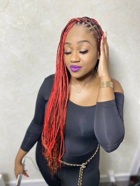 salon de coiffure afro tresse tresses box braids crochet braids vanilles tissages paris 75 77 78 91 92 93 94 95 IKZGETIT
