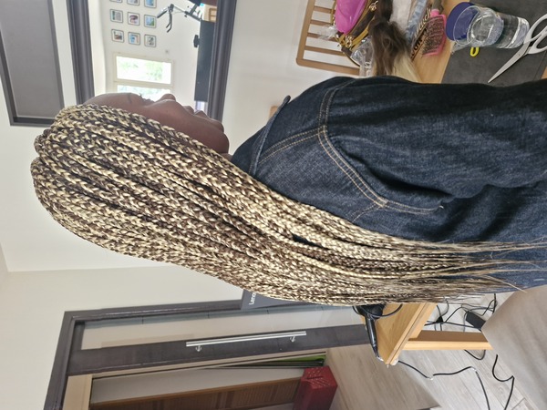 salon de coiffure afro tresse tresses box braids crochet braids vanilles tissages paris 75 77 78 91 92 93 94 95 EIXVYLVJ