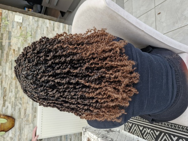 salon de coiffure afro tresse tresses box braids crochet braids vanilles tissages paris 75 77 78 91 92 93 94 95 CVVJSBIA