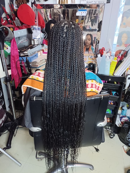 salon de coiffure afro tresse tresses box braids crochet braids vanilles tissages paris 75 77 78 91 92 93 94 95 AJAYVSEI