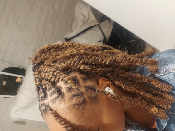 salon de coiffure afro tresse tresses box braids crochet braids vanilles tissages paris 75 77 78 91 92 93 94 95 BXWXPMND