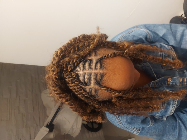 salon de coiffure afro tresse tresses box braids crochet braids vanilles tissages paris 75 77 78 91 92 93 94 95 MNVKBIAK