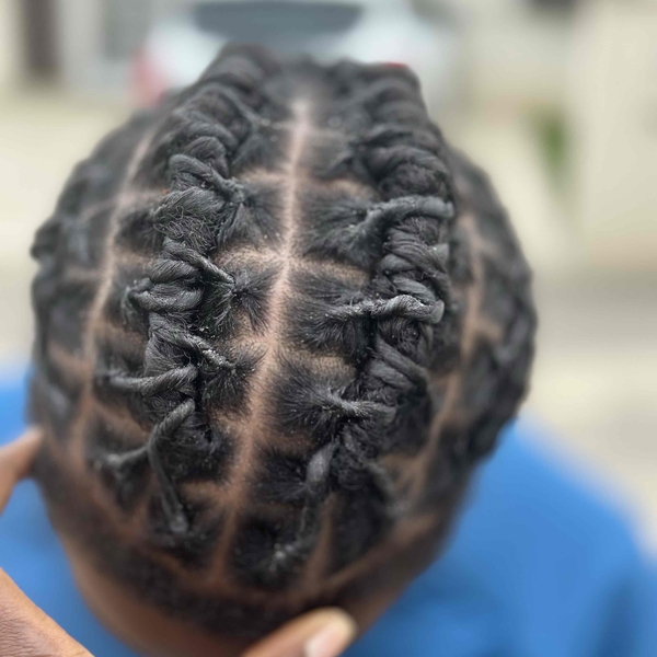 salon de coiffure afro tresse tresses box braids crochet braids vanilles tissages paris 75 77 78 91 92 93 94 95 RAUEGYLZ