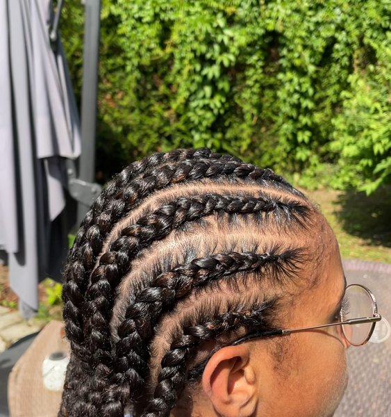 salon de coiffure afro tresse tresses box braids crochet braids vanilles tissages paris 75 77 78 91 92 93 94 95 DNPRNHBS