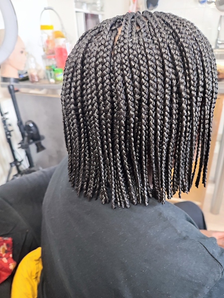 salon de coiffure afro tresse tresses box braids crochet braids vanilles tissages paris 75 77 78 91 92 93 94 95 KZXSRTIY