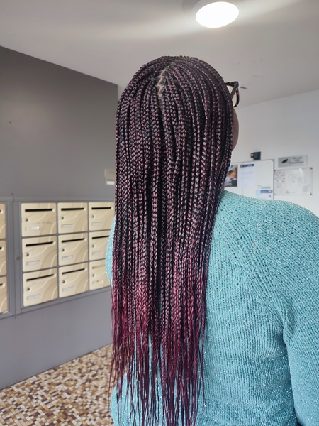 salon de coiffure afro tresse tresses box braids crochet braids vanilles tissages paris 75 77 78 91 92 93 94 95 OAMGRUBK