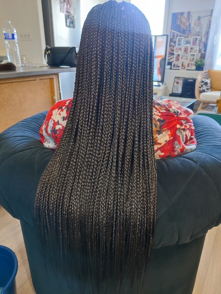 salon de coiffure afro tresse tresses box braids crochet braids vanilles tissages paris 75 77 78 91 92 93 94 95 KXAXZROR