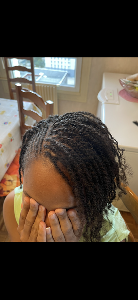 salon de coiffure afro tresse tresses box braids crochet braids vanilles tissages paris 75 77 78 91 92 93 94 95 ODQIKJTK
