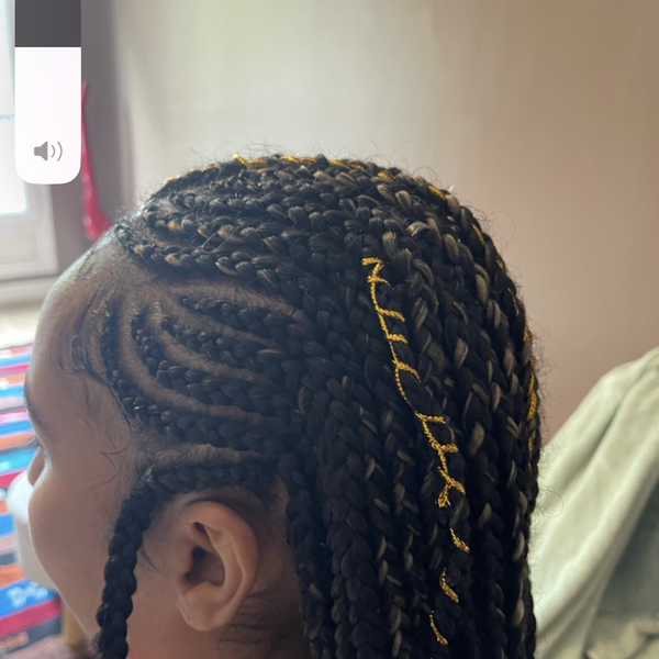 salon de coiffure afro tresse tresses box braids crochet braids vanilles tissages paris 75 77 78 91 92 93 94 95 BVEZJYCH