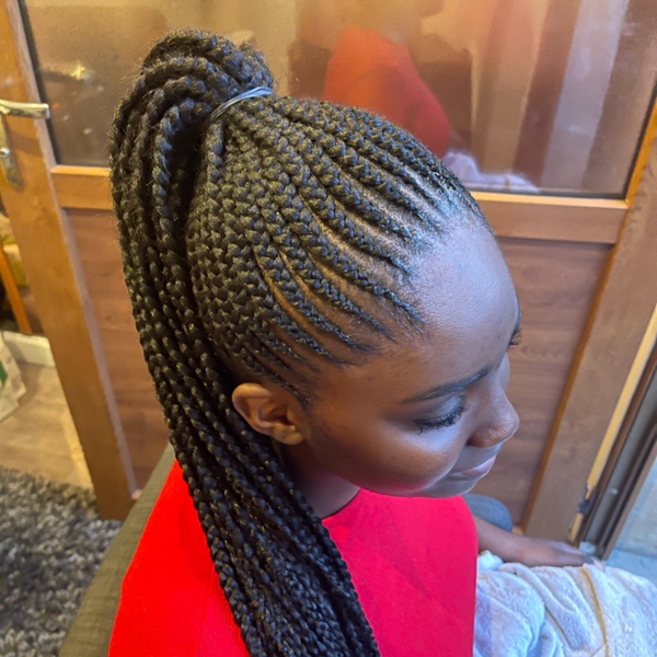 salon de coiffure afro tresse tresses box braids crochet braids vanilles tissages paris 75 77 78 91 92 93 94 95 PETBKCKC