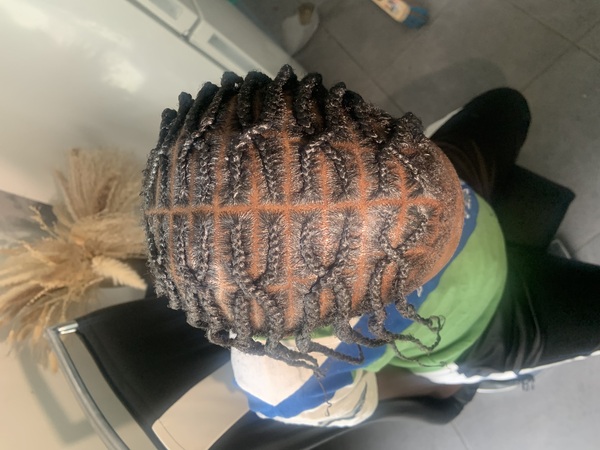 salon de coiffure afro tresse tresses box braids crochet braids vanilles tissages paris 75 77 78 91 92 93 94 95 DTEPSIJE