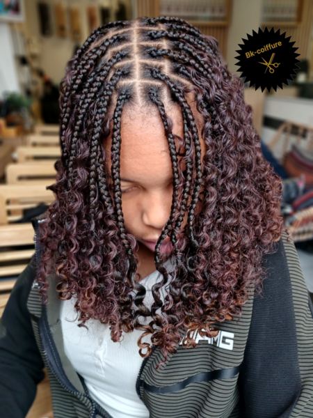 salon de coiffure afro tresse tresses box braids crochet braids vanilles tissages paris 75 77 78 91 92 93 94 95 DDPBRHFJ