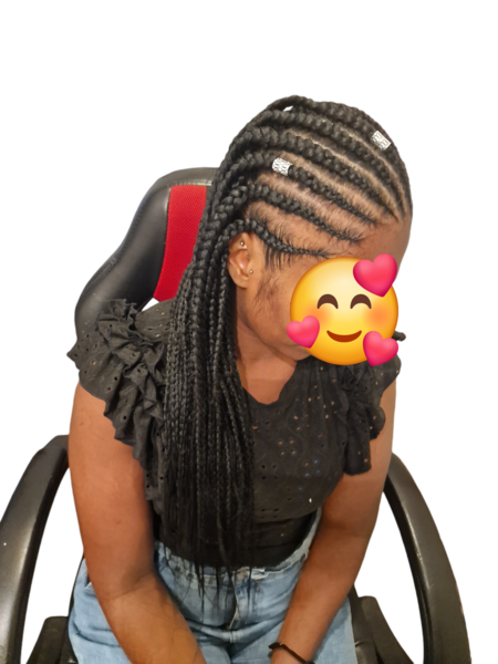 salon de coiffure afro tresse tresses box braids crochet braids vanilles tissages paris 75 77 78 91 92 93 94 95 EIQHBXOT
