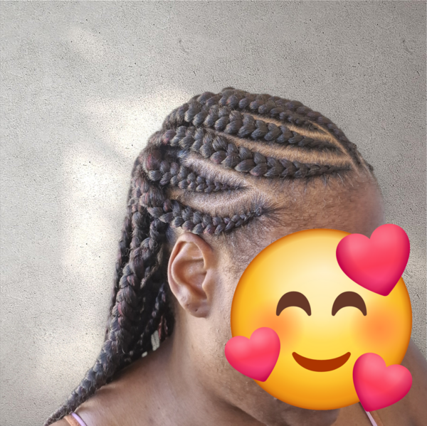 salon de coiffure afro tresse tresses box braids crochet braids vanilles tissages paris 75 77 78 91 92 93 94 95 NCRSGGWB