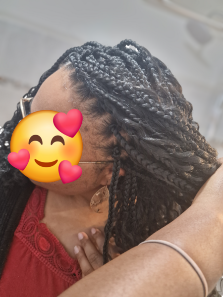 salon de coiffure afro tresse tresses box braids crochet braids vanilles tissages paris 75 77 78 91 92 93 94 95 LANZANZG