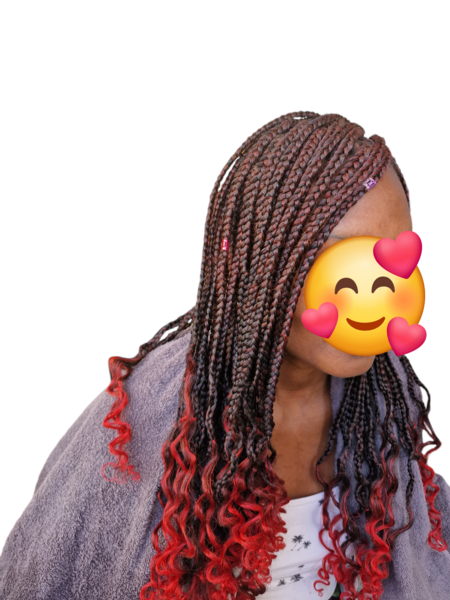 salon de coiffure afro tresse tresses box braids crochet braids vanilles tissages paris 75 77 78 91 92 93 94 95 HYHGXNPN
