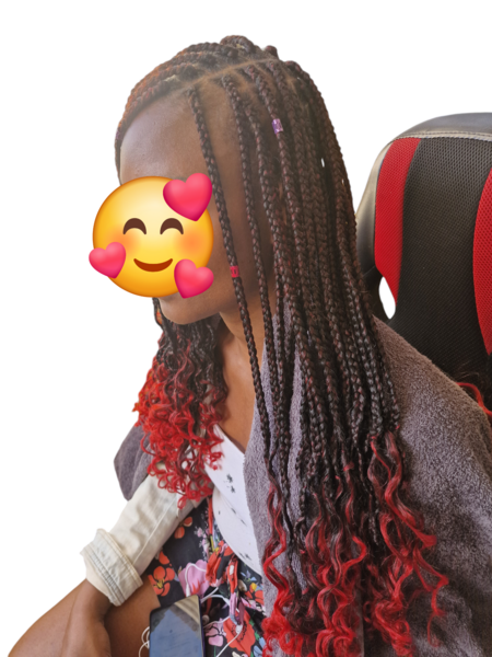 salon de coiffure afro tresse tresses box braids crochet braids vanilles tissages paris 75 77 78 91 92 93 94 95 ZSSJQGLC