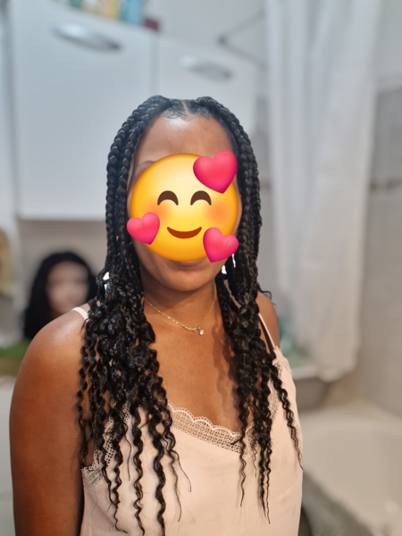 salon de coiffure afro tresse tresses box braids crochet braids vanilles tissages paris 75 77 78 91 92 93 94 95 TWPIYPXN