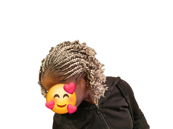 salon de coiffure afro tresse tresses box braids crochet braids vanilles tissages paris 75 77 78 91 92 93 94 95 BCRKBRYI
