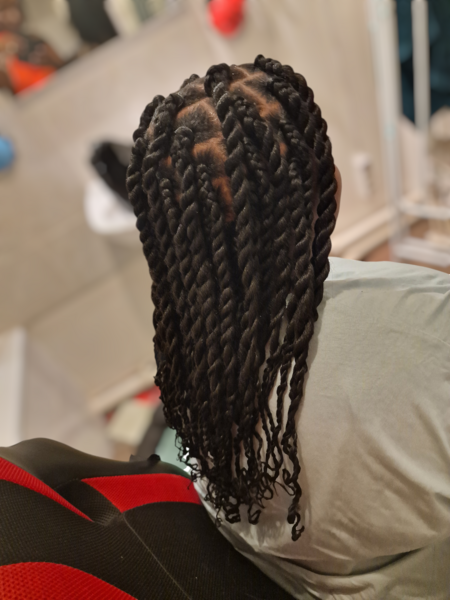 salon de coiffure afro tresse tresses box braids crochet braids vanilles tissages paris 75 77 78 91 92 93 94 95 XNTCFSGD
