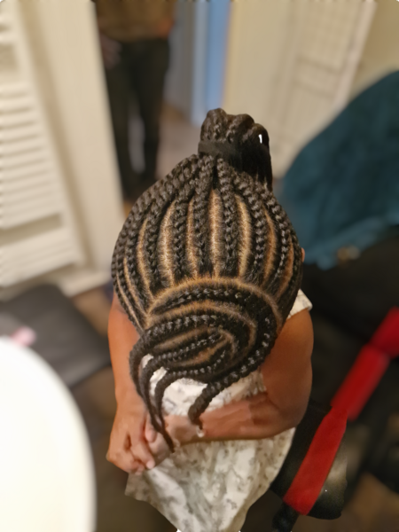 salon de coiffure afro tresse tresses box braids crochet braids vanilles tissages paris 75 77 78 91 92 93 94 95 WLCALINU