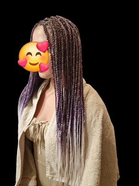 salon de coiffure afro tresse tresses box braids crochet braids vanilles tissages paris 75 77 78 91 92 93 94 95 NUCCKXGB