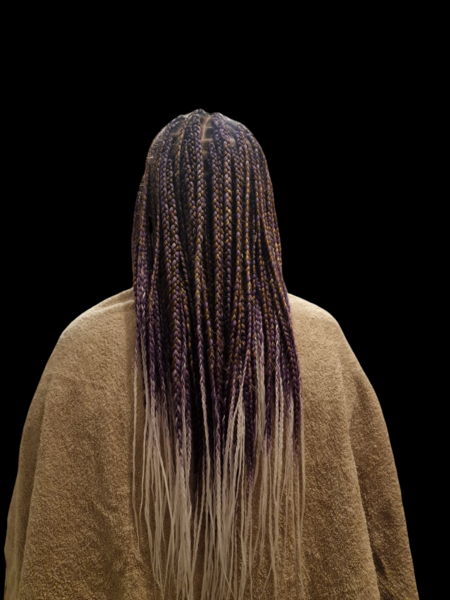 salon de coiffure afro tresse tresses box braids crochet braids vanilles tissages paris 75 77 78 91 92 93 94 95 EZQKIPGN
