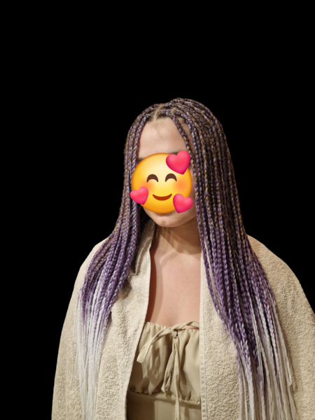 salon de coiffure afro tresse tresses box braids crochet braids vanilles tissages paris 75 77 78 91 92 93 94 95 QPWUGSXY