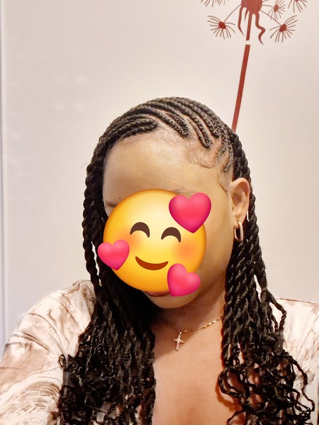 salon de coiffure afro tresse tresses box braids crochet braids vanilles tissages paris 75 77 78 91 92 93 94 95 EZJTEKWW