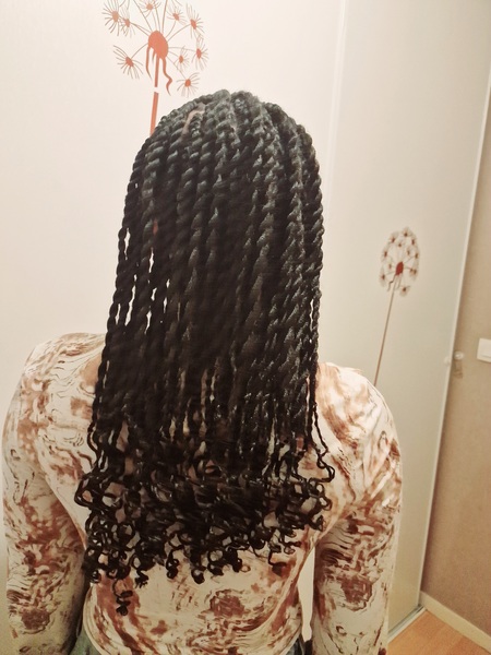 salon de coiffure afro tresse tresses box braids crochet braids vanilles tissages paris 75 77 78 91 92 93 94 95 AGMNFIEH