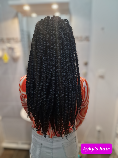 salon de coiffure afro tresse tresses box braids crochet braids vanilles tissages paris 75 77 78 91 92 93 94 95 ZFFOYBNX