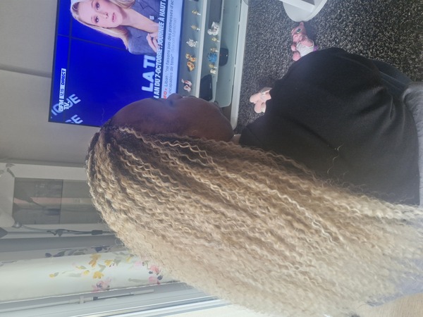 salon de coiffure afro tresse tresses box braids crochet braids vanilles tissages paris 75 77 78 91 92 93 94 95 DCXZMRAA