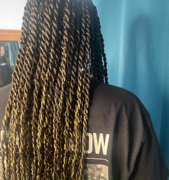 salon de coiffure afro tresse tresses box braids crochet braids vanilles tissages paris 75 77 78 91 92 93 94 95 JRPHSRTX