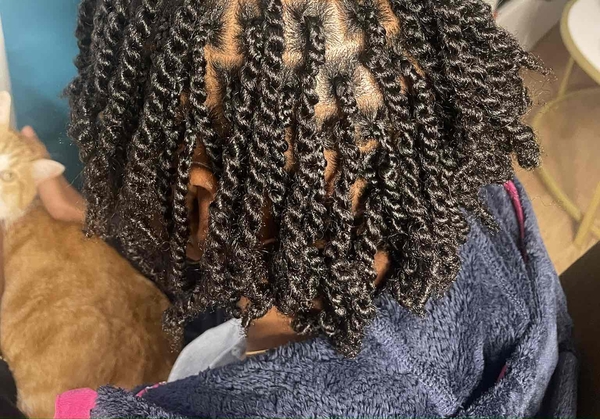 salon de coiffure afro tresse tresses box braids crochet braids vanilles tissages paris 75 77 78 91 92 93 94 95 ZAFOFJNW