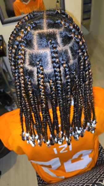 salon de coiffure afro tresse tresses box braids crochet braids vanilles tissages paris 75 77 78 91 92 93 94 95 OSYRKZTY