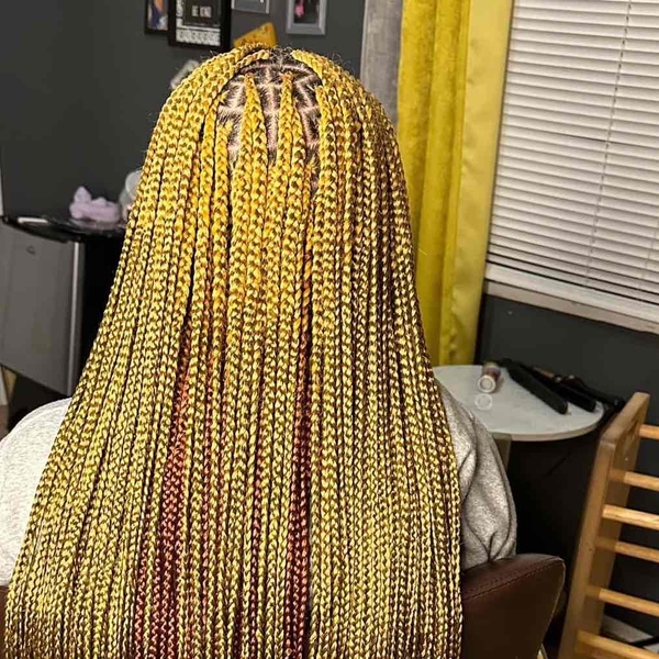 salon de coiffure afro tresse tresses box braids crochet braids vanilles tissages paris 75 77 78 91 92 93 94 95 BMKKSYBG