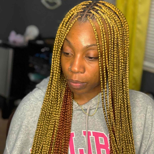 salon de coiffure afro tresse tresses box braids crochet braids vanilles tissages paris 75 77 78 91 92 93 94 95 PBSTQKLL
