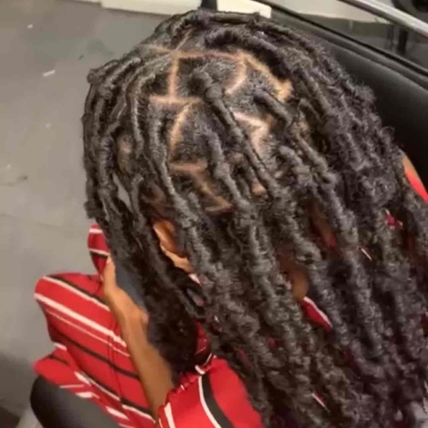salon de coiffure afro tresse tresses box braids crochet braids vanilles tissages paris 75 77 78 91 92 93 94 95 UWFEXRDK