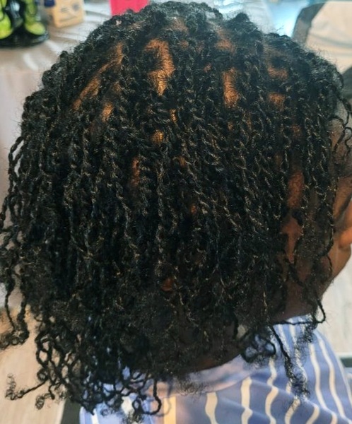 salon de coiffure afro tresse tresses box braids crochet braids vanilles tissages paris 75 77 78 91 92 93 94 95 ZYBFWTZN