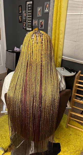 salon de coiffure afro tresse tresses box braids crochet braids vanilles tissages paris 75 77 78 91 92 93 94 95 GOWUIWCB