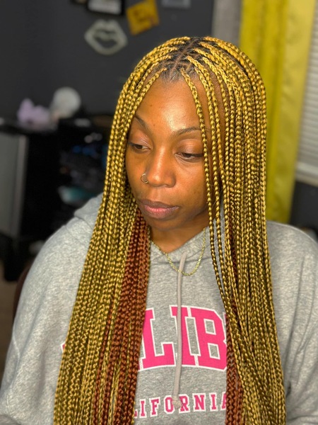 salon de coiffure afro tresse tresses box braids crochet braids vanilles tissages paris 75 77 78 91 92 93 94 95 KMQHCOWO