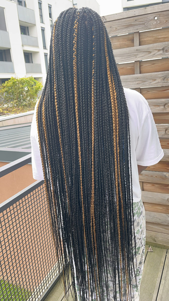salon de coiffure afro tresse tresses box braids crochet braids vanilles tissages paris 75 77 78 91 92 93 94 95 VKLQCQNZ
