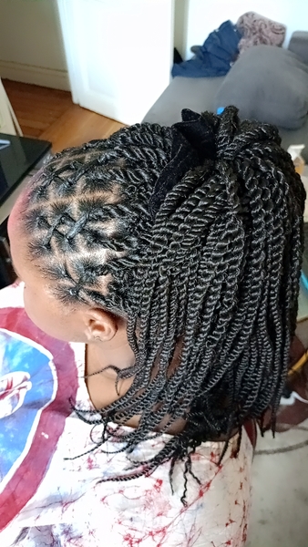 salon de coiffure afro tresse tresses box braids crochet braids vanilles tissages paris 75 77 78 91 92 93 94 95 QOPMVHZV