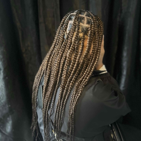 salon de coiffure afro tresse tresses box braids crochet braids vanilles tissages paris 75 77 78 91 92 93 94 95 OCUQLOLL