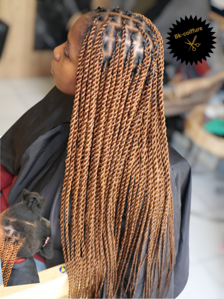 salon de coiffure afro tresse tresses box braids crochet braids vanilles tissages paris 75 77 78 91 92 93 94 95 LKOUDLVW