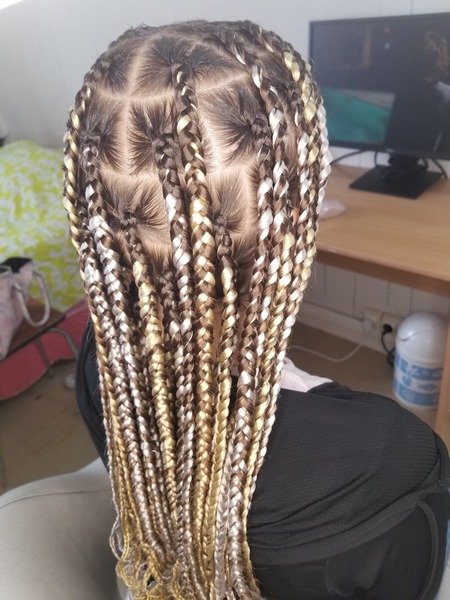 salon de coiffure afro tresse tresses box braids crochet braids vanilles tissages paris 75 77 78 91 92 93 94 95 MKXMSOBI